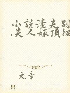 小说渣夫别跪了,夫人嫁顶级大佬显怀了