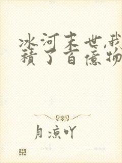 冰河末世,我囤积了百亿物资 第501章