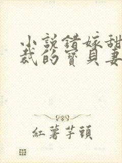 小说错嫁甜婚总裁的宝贝妻