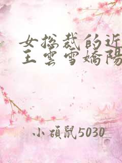 女总裁的近身兵王云雪娇阳