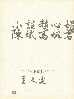 小说赵心媚主角陈斌高婉君