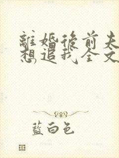 离婚后前夫总是想追我全文免费