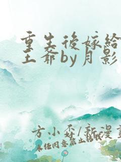 重生后嫁给病弱王爷by月影星