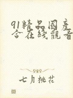 91精品国产综合在线观看