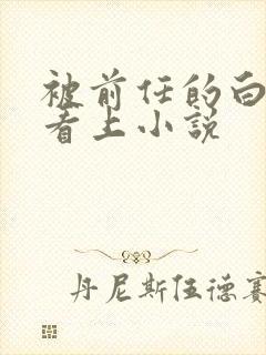 被前任的白月光看上小说