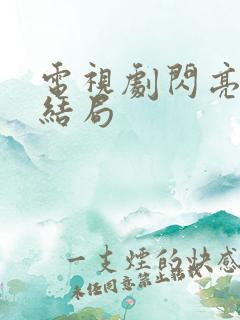 电视剧闪亮爱大结局