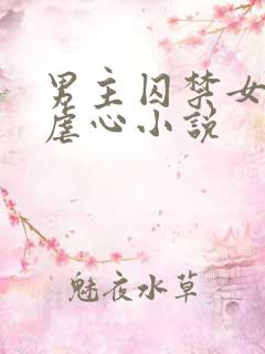 男主囚禁女主的虐心小说