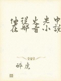 他从火光中走来在哪看小说