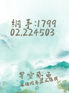 纲手:179902,224503