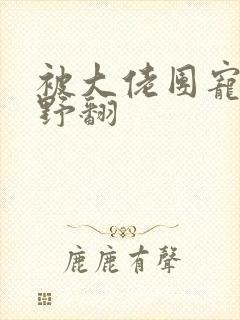 被大佬团宠后我野翻