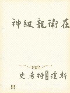 神级龙卫在线看