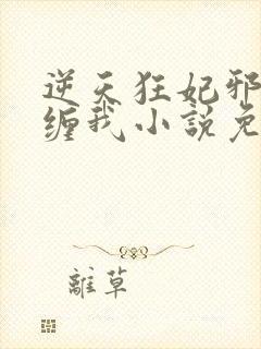 逆天狂妃邪王别缠我小说免费阅读