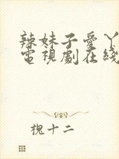 辣妹子爱丫爱丫电视剧在线观看