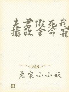 夫君假死我高嫁摄政舍命宠我