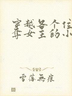 穿越各个位面掠夺女主的小说