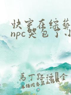 快穿在综艺上被npc哭包了小说全文免