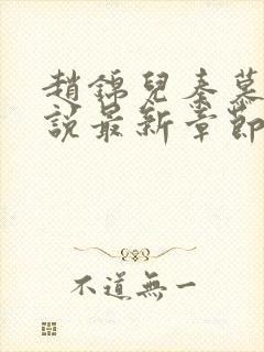 赵锦儿秦慕修小说最新章节阅读