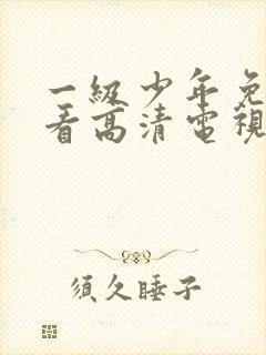 一级少年免费观看高清电视剧