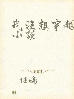 我没想穿越啊 小说