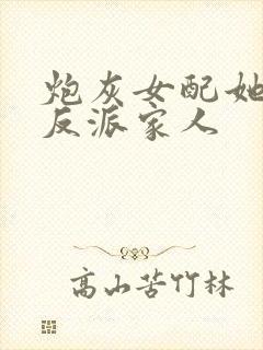 炮灰女配她拯救反派家人