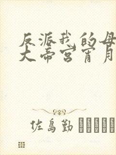 反派我的母亲是大帝宫宵月无绿