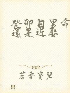 癸卯日男命远娶还是近娶