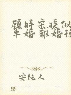 顾时宋暖似婚(军婚 离婚后)