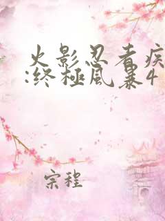 火影忍者疾风传:终极风暴4