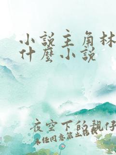 小说主角林北是什么小说