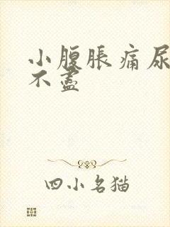 小腹胀痛尿频尿不尽