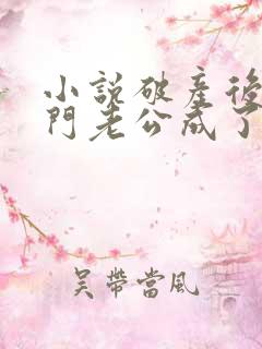 小说破产后,上门老公成了我的金主