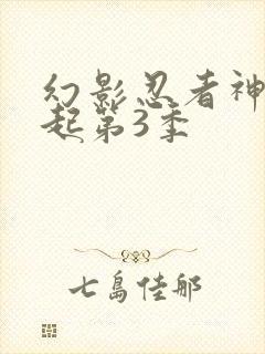 幻影忍者神龙崛起第3季