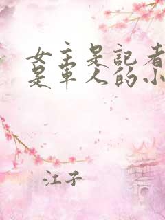 女主是记者男主是军人的小说