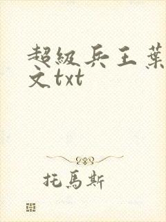 超级兵王叶谦全文txt