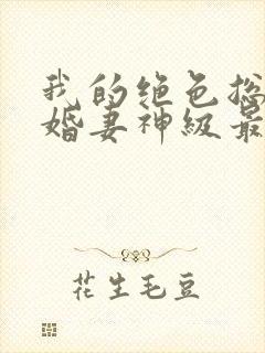 我的绝色总裁未婚妻神级最新章节