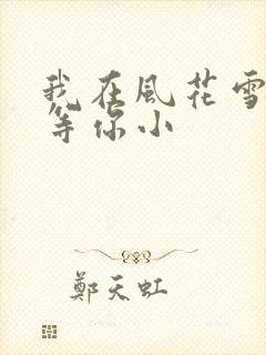 我在风花雪月里等你小