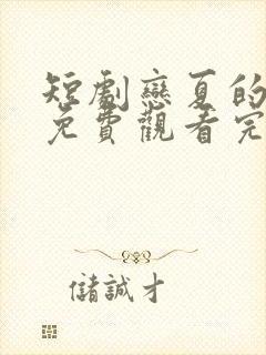 短剧恋夏的故事免费观看完整版