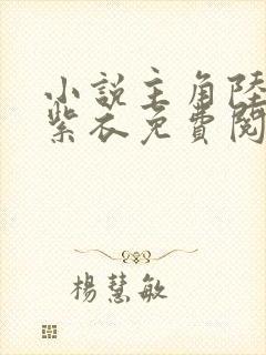 小说主角陆浩叶紫衣免费阅读