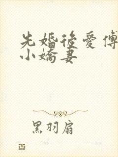 先婚后爱傅少的小娇妻