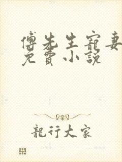 傅先生宠妻无度免费小说