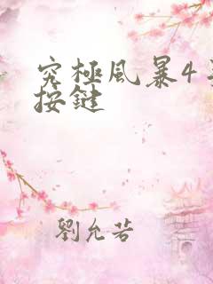 究极风暴4手柄按键