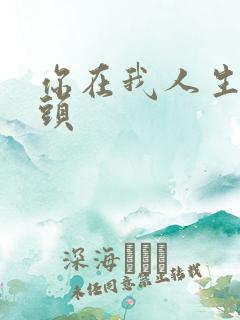 你在我人生的尽头