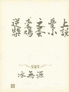 逆袭之爱上情敌柴鸡蛋小说无删减