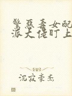 惊恶毒女配被反派大佬盯上小说