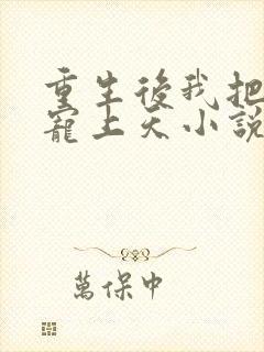 重生后我把丈夫宠上天小说