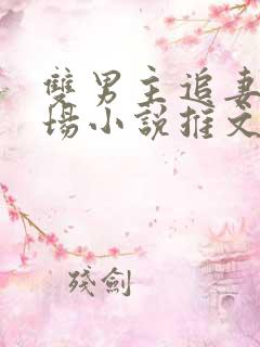 双男主追妻火葬场小说推文