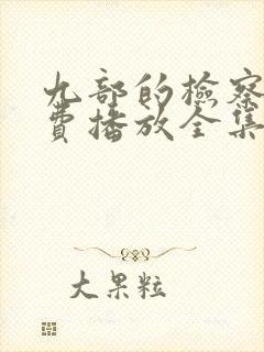 九部的检察官免费播放全集