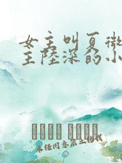 女主叫夏微凉男主陆深的小说