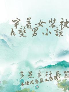 穿着女装被c高h双男小说