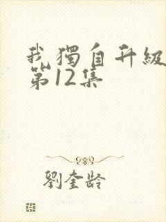 我独自升级动漫第12集